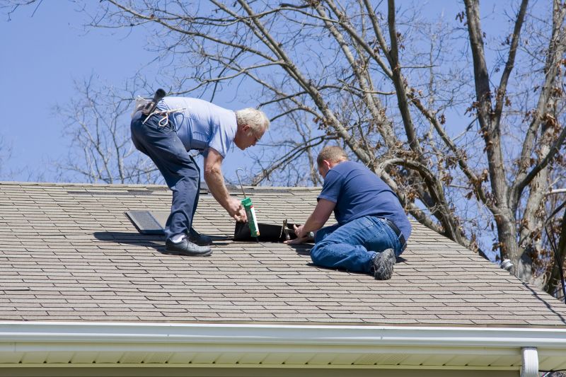 Shingle Repair Process