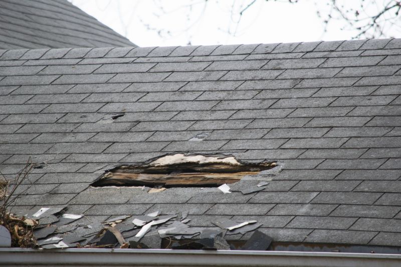 Damage Assessment and Repair Planning
